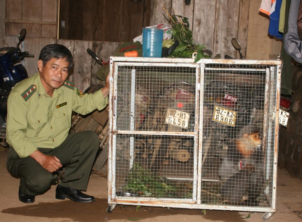 caged langurs in Kon Tum, Vietnam being rescued by local Forest Protection Department officer