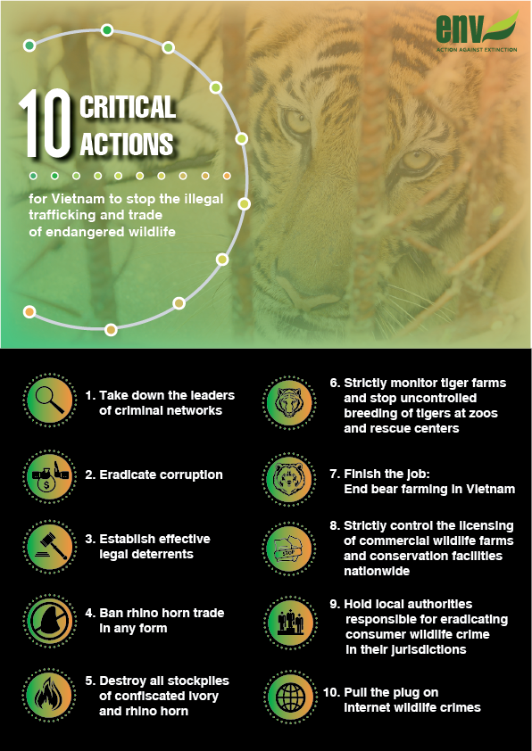 10 steps to beat wildlife crime