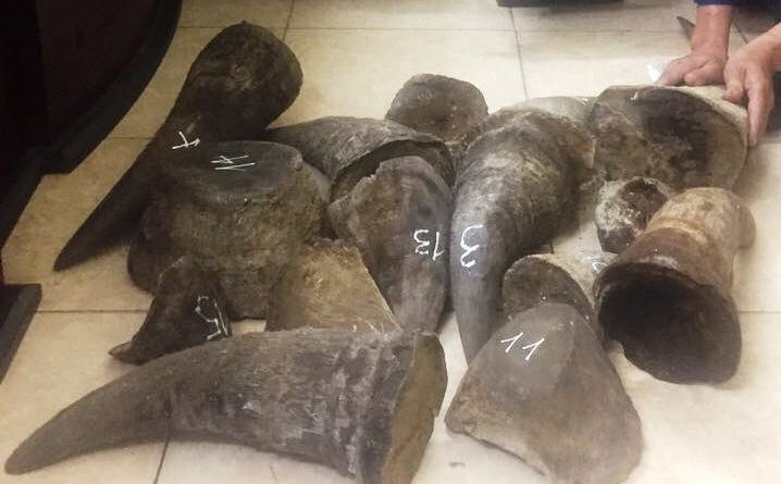 Rhino horn seizure in Nguyen Mau Chien smuggling case in Hanoi, Vietnam