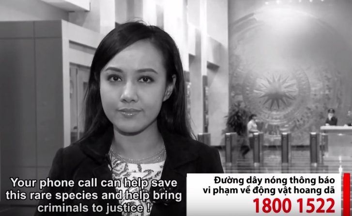 TV news anchor, Hoai Anh promotes the Education for Nature - Vietnam 1800-1522 wildlife crime hotline