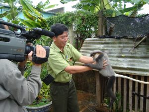 Langur rescue being filmed by TV news