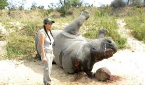 Rhino ambassador Hong Nhung with dead rhino in Kruger National Park, South Africa